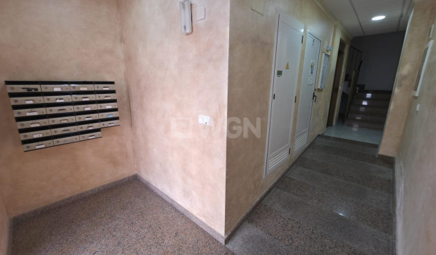 Resale - Apartment / flat - Torrevieja - Playa de los Locos