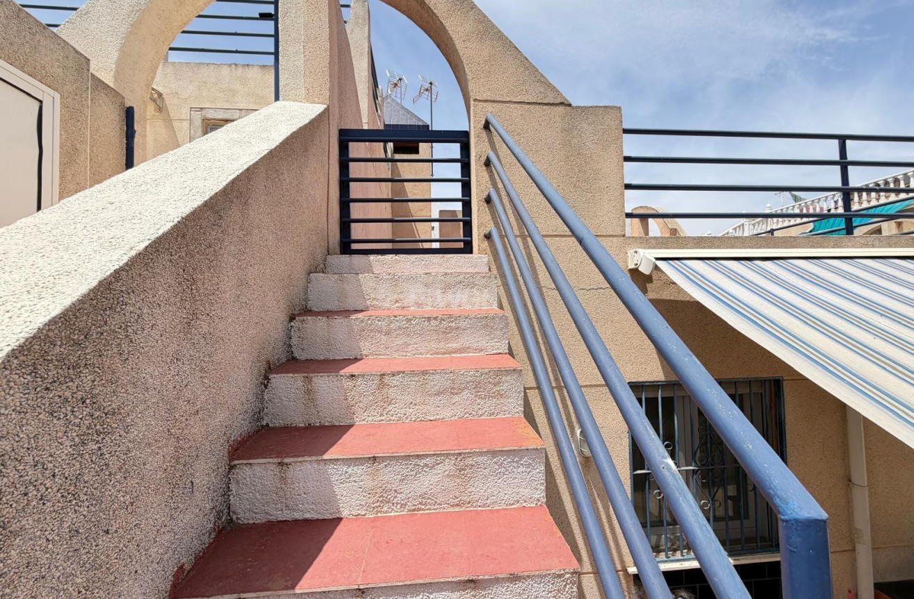 Odsprzedaż - Kamienica - Torrevieja - Carrefour