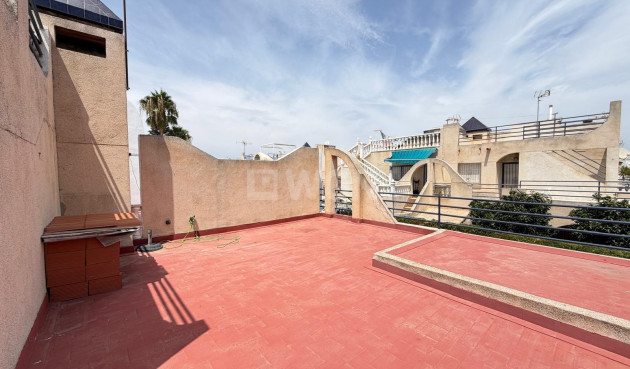 Odsprzedaż - Kamienica - Torrevieja - Carrefour