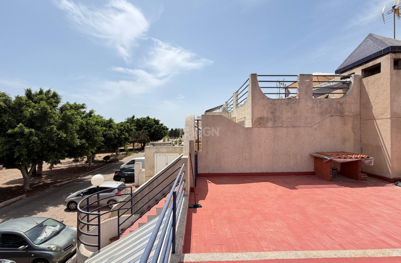 Odsprzedaż - Kamienica - Torrevieja - Carrefour