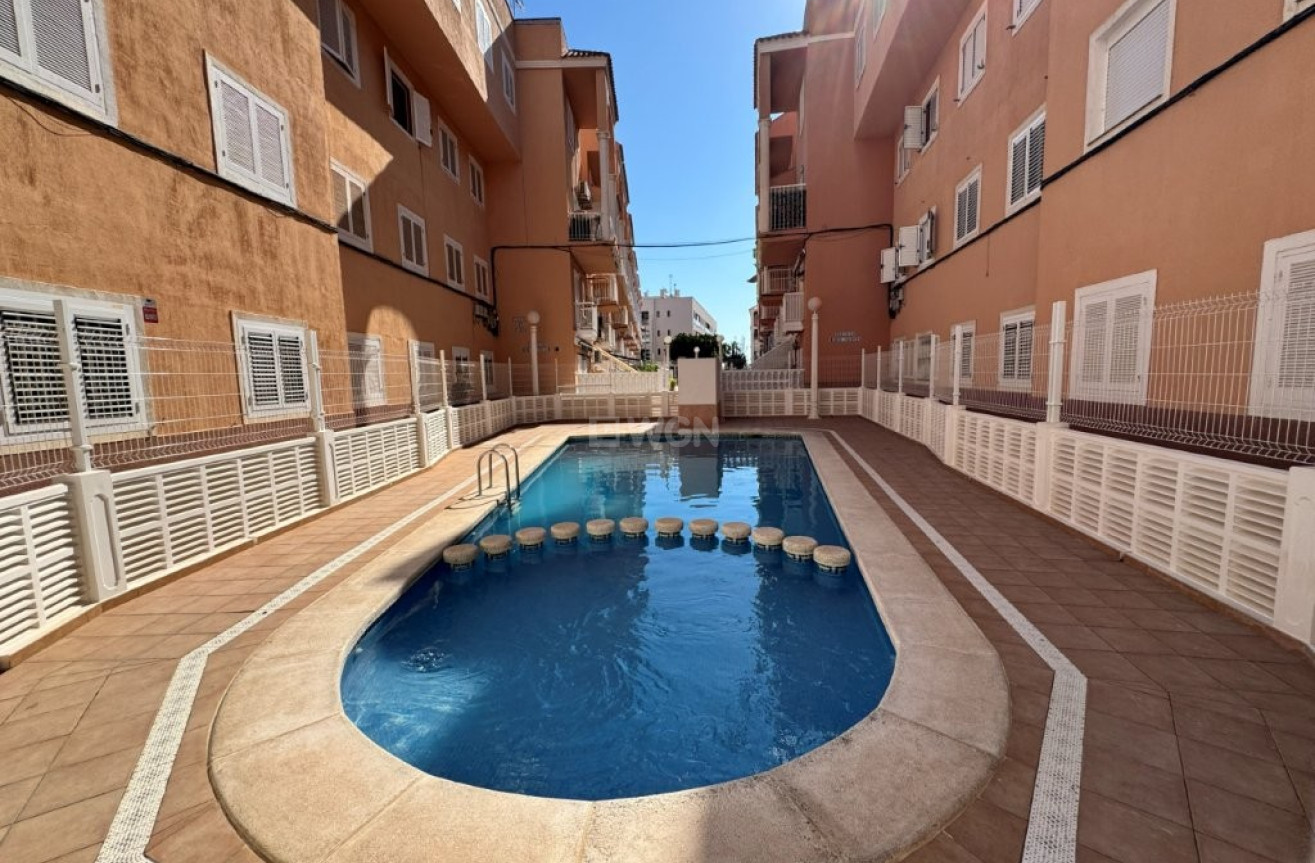 Odsprzedaż - Mieszkanie w bloku - La Mata - Costa Blanca