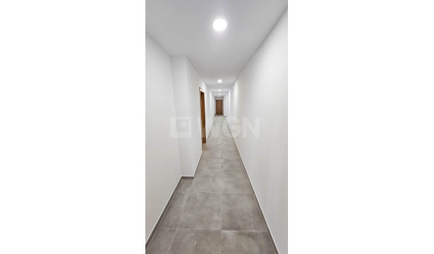 Wiederverkauf - Penthouse - Torrevieja - Paseo Maritimo