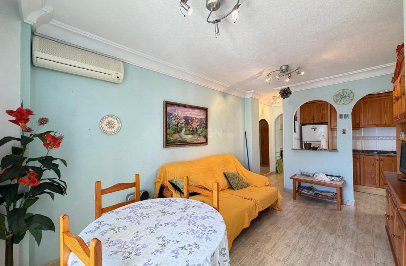 Odsprzedaż - Mieszkanie w bloku - Torrevieja - Acequion