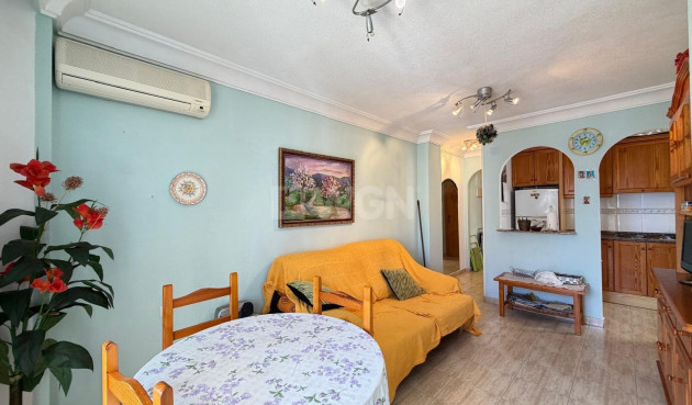 Odsprzedaż - Mieszkanie w bloku - Torrevieja - Acequion