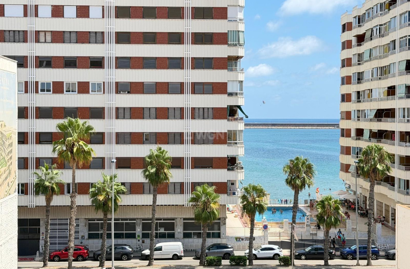 Odsprzedaż - Mieszkanie w bloku - Torrevieja - Acequion