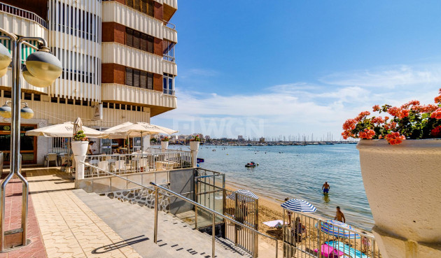 Reventa - Apartamento / piso - Torrevieja - Costa Blanca