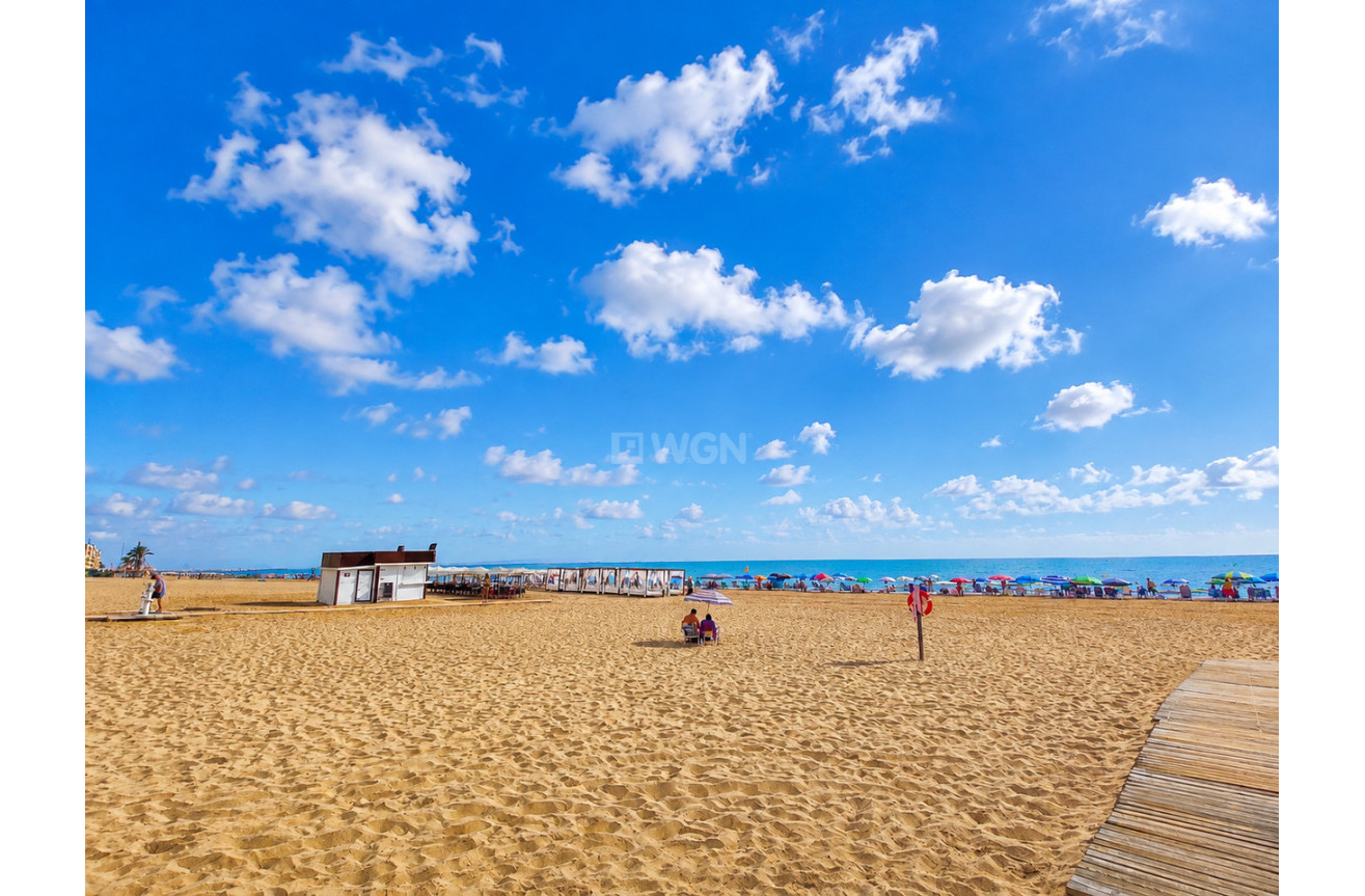 Odsprzedaż - Mieszkanie w bloku - Guardamar del Segura - Costa Blanca