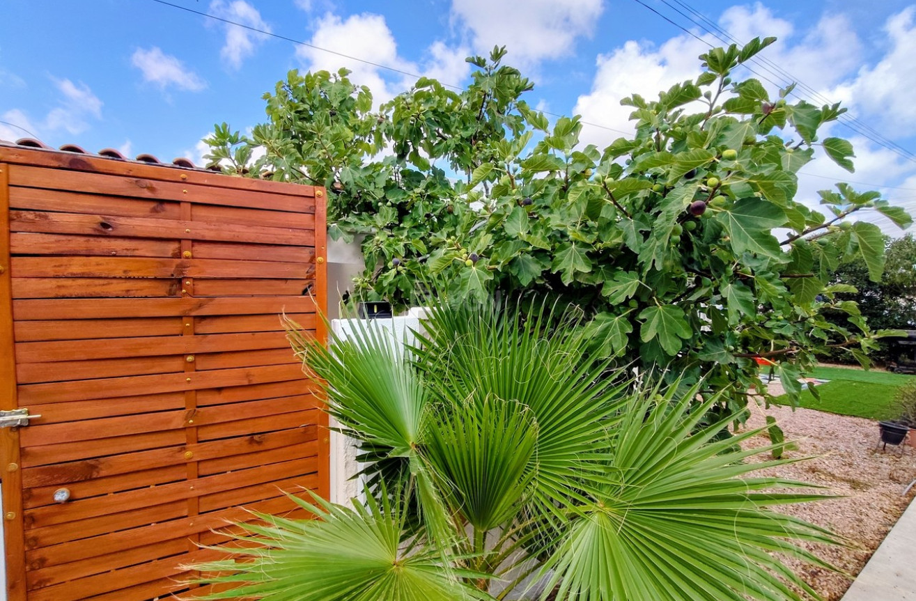Odsprzedaż - Bungalow - Torrevieja - Costa Blanca