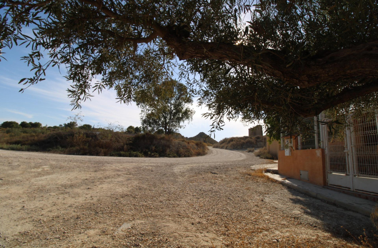 Odsprzedaż - Casa con terreno - Murcia - Cañadas de San Pedro