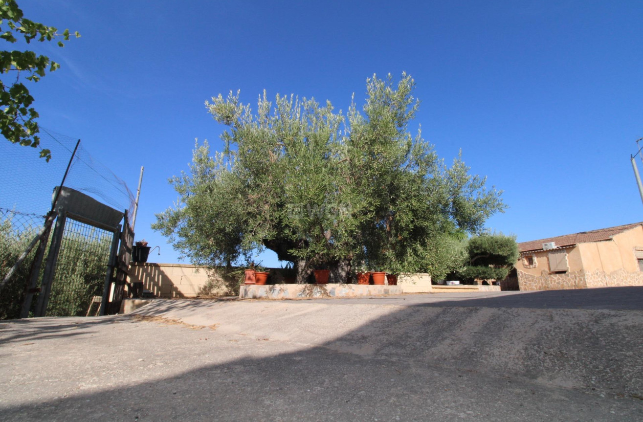 Odsprzedaż - Casa con terreno - Murcia - Cañadas de San Pedro