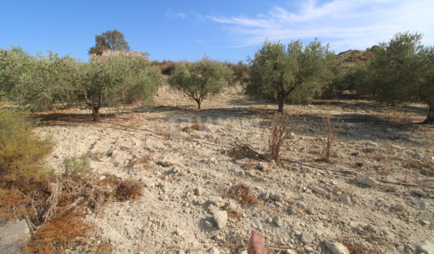Odsprzedaż - Casa con terreno - Murcia - Cañadas de San Pedro
