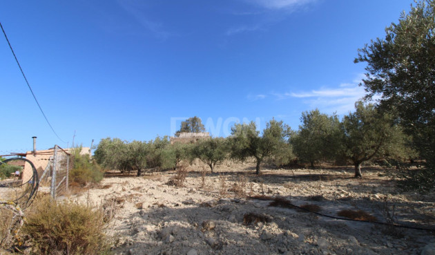Odsprzedaż - Casa con terreno - Murcia - Cañadas de San Pedro