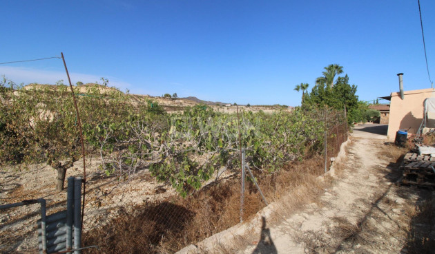 Odsprzedaż - Casa con terreno - Murcia - Cañadas de San Pedro