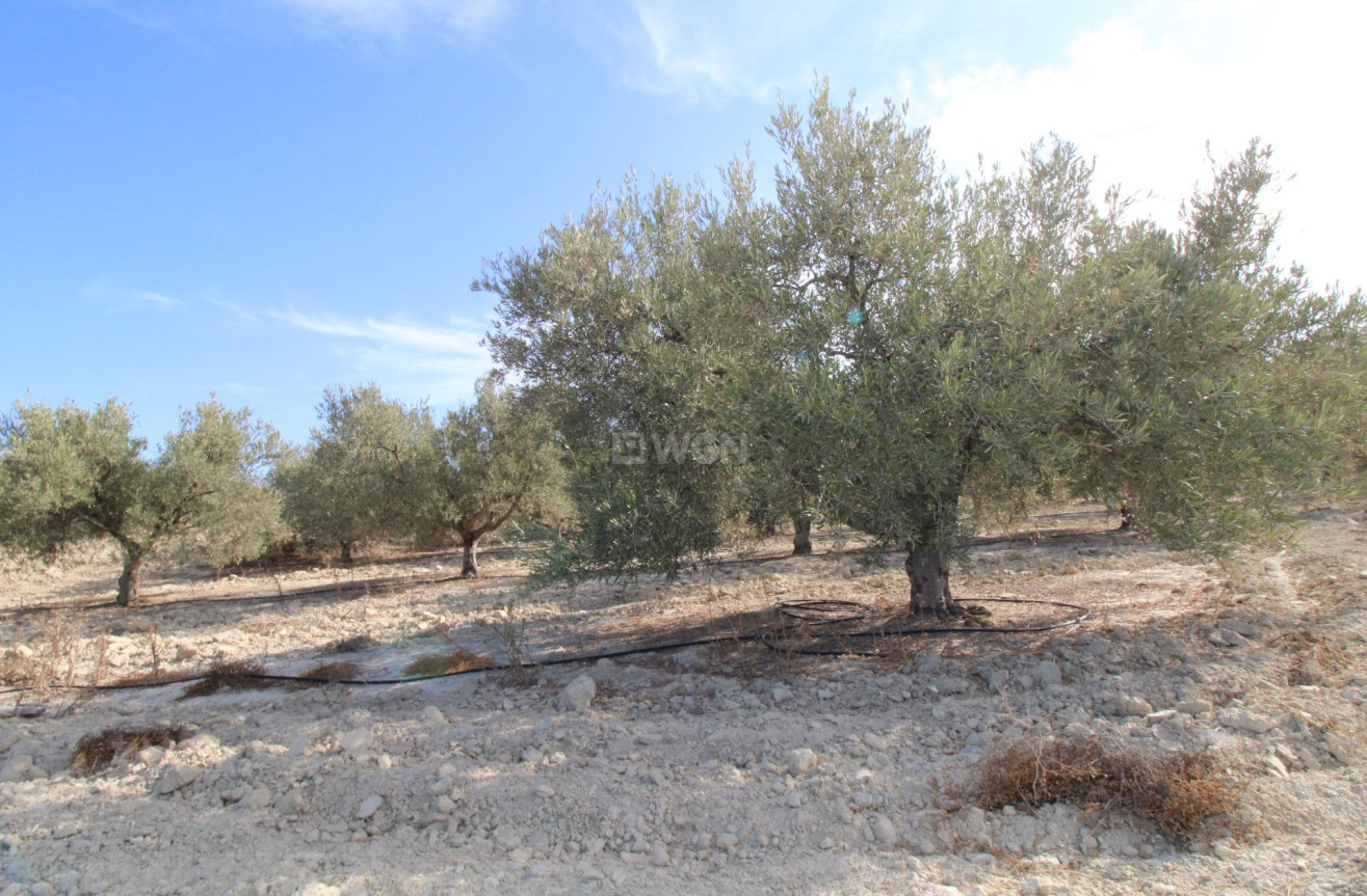 Odsprzedaż - Casa con terreno - Murcia - Cañadas de San Pedro