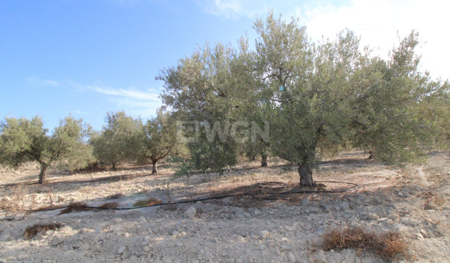 Odsprzedaż - Casa con terreno - Murcia - Cañadas de San Pedro