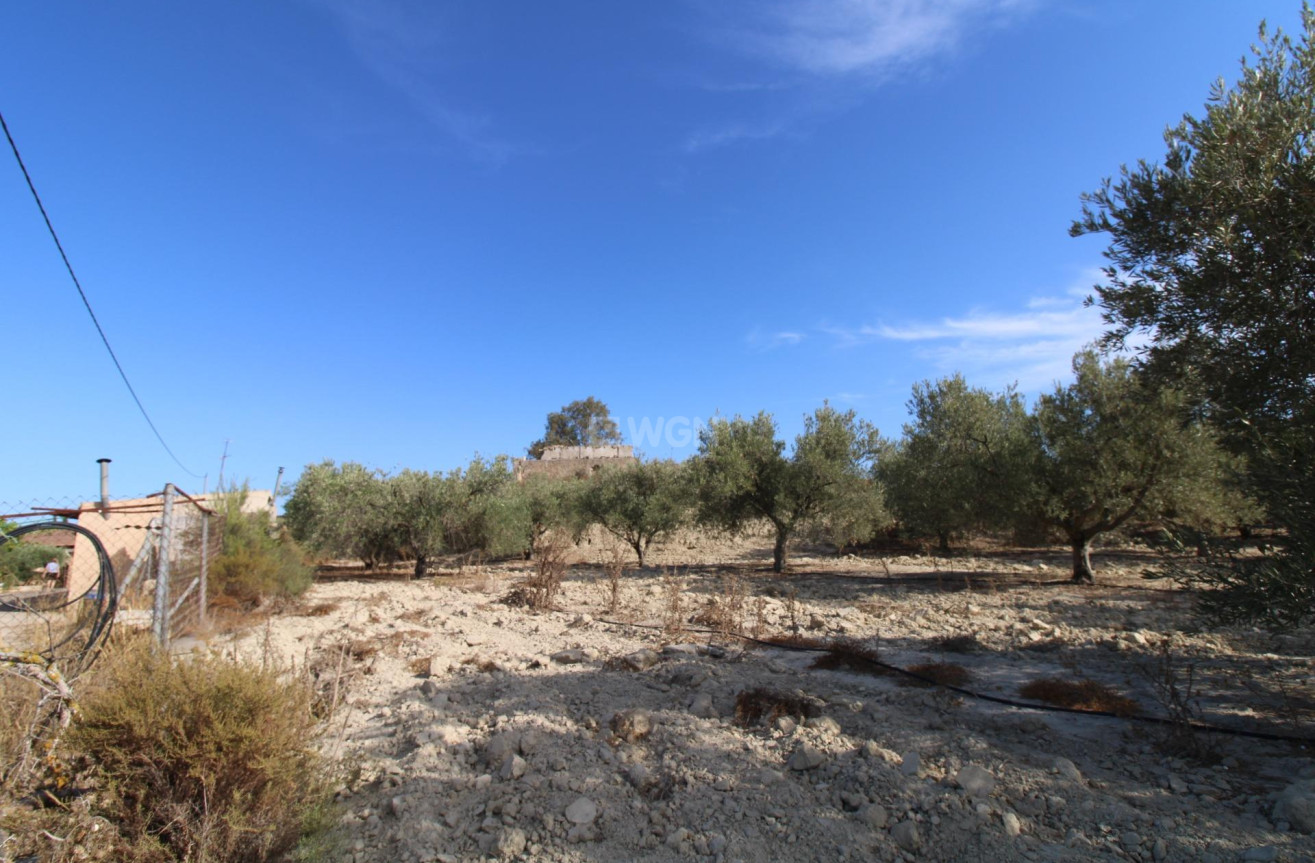 Odsprzedaż - Casa con terreno - Murcia - Cañadas de San Pedro