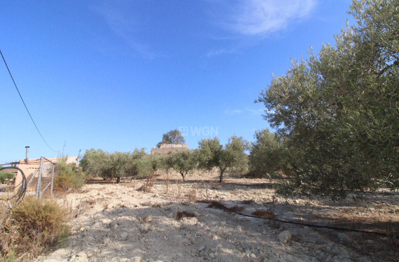 Odsprzedaż - Casa con terreno - Murcia - Cañadas de San Pedro