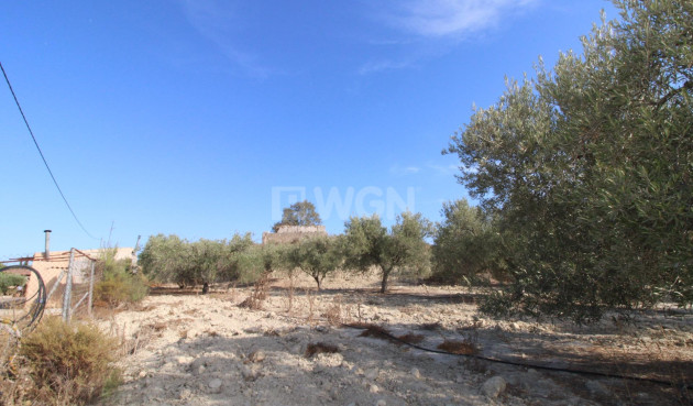 Odsprzedaż - Casa con terreno - Murcia - Cañadas de San Pedro