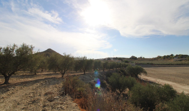 Odsprzedaż - Casa con terreno - Murcia - Cañadas de San Pedro