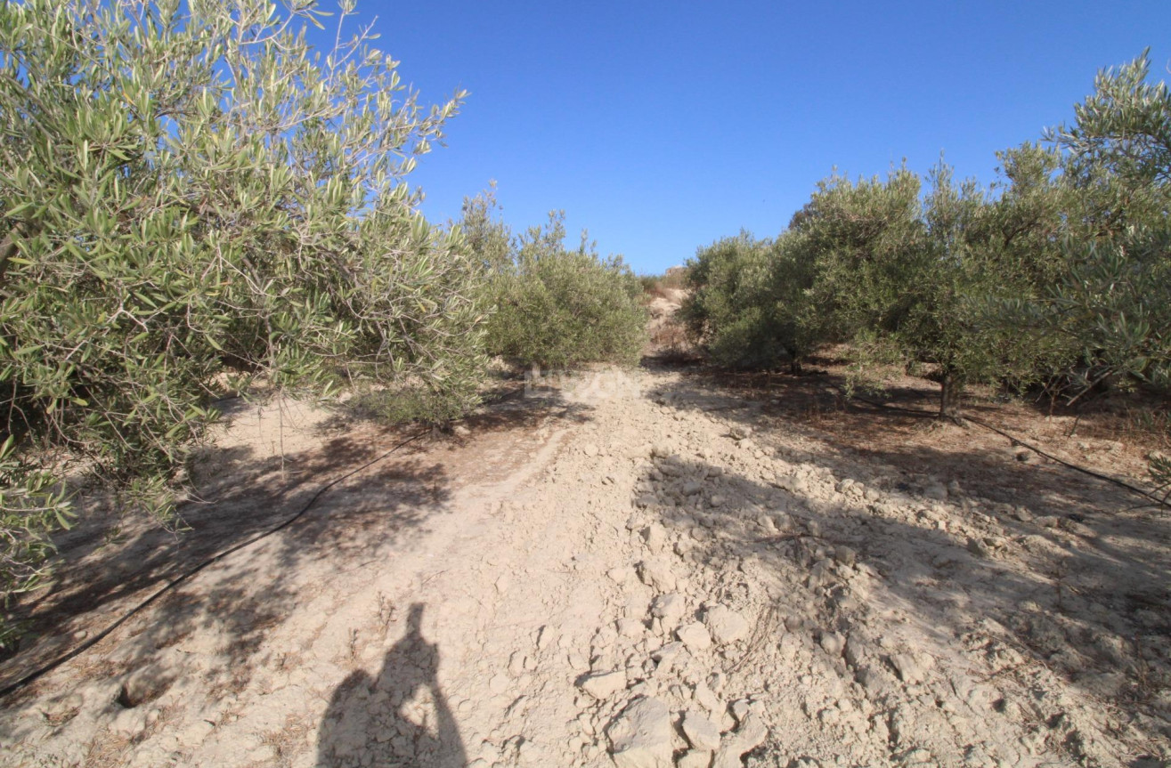 Odsprzedaż - Casa con terreno - Murcia - Cañadas de San Pedro