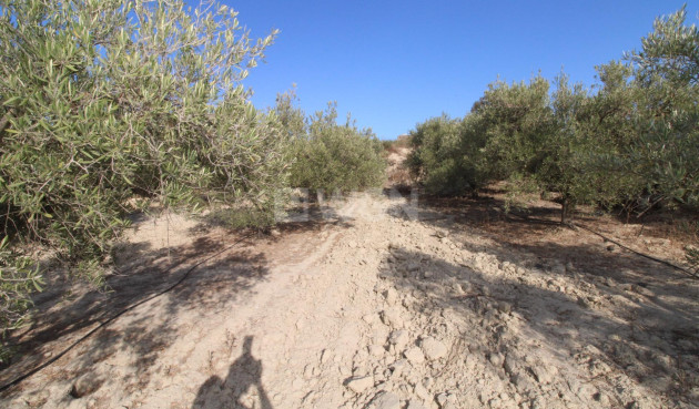 Odsprzedaż - Casa con terreno - Murcia - Cañadas de San Pedro