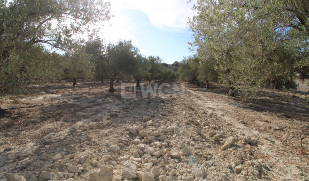 Odsprzedaż - Casa con terreno - Murcia - Cañadas de San Pedro