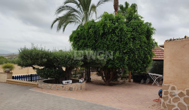 Odsprzedaż - Casa con terreno - Murcia - Cañadas de San Pedro