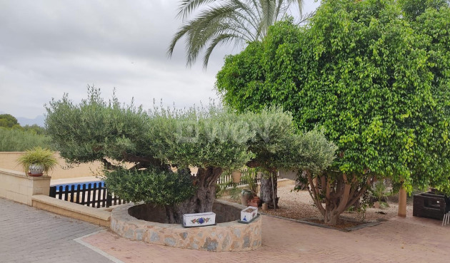 Odsprzedaż - Casa con terreno - Murcia - Cañadas de San Pedro