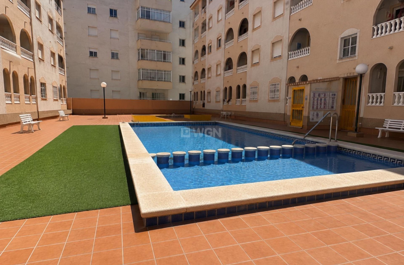 Resale - Apartment / flat - Torrevieja - Estacion De Autobuses