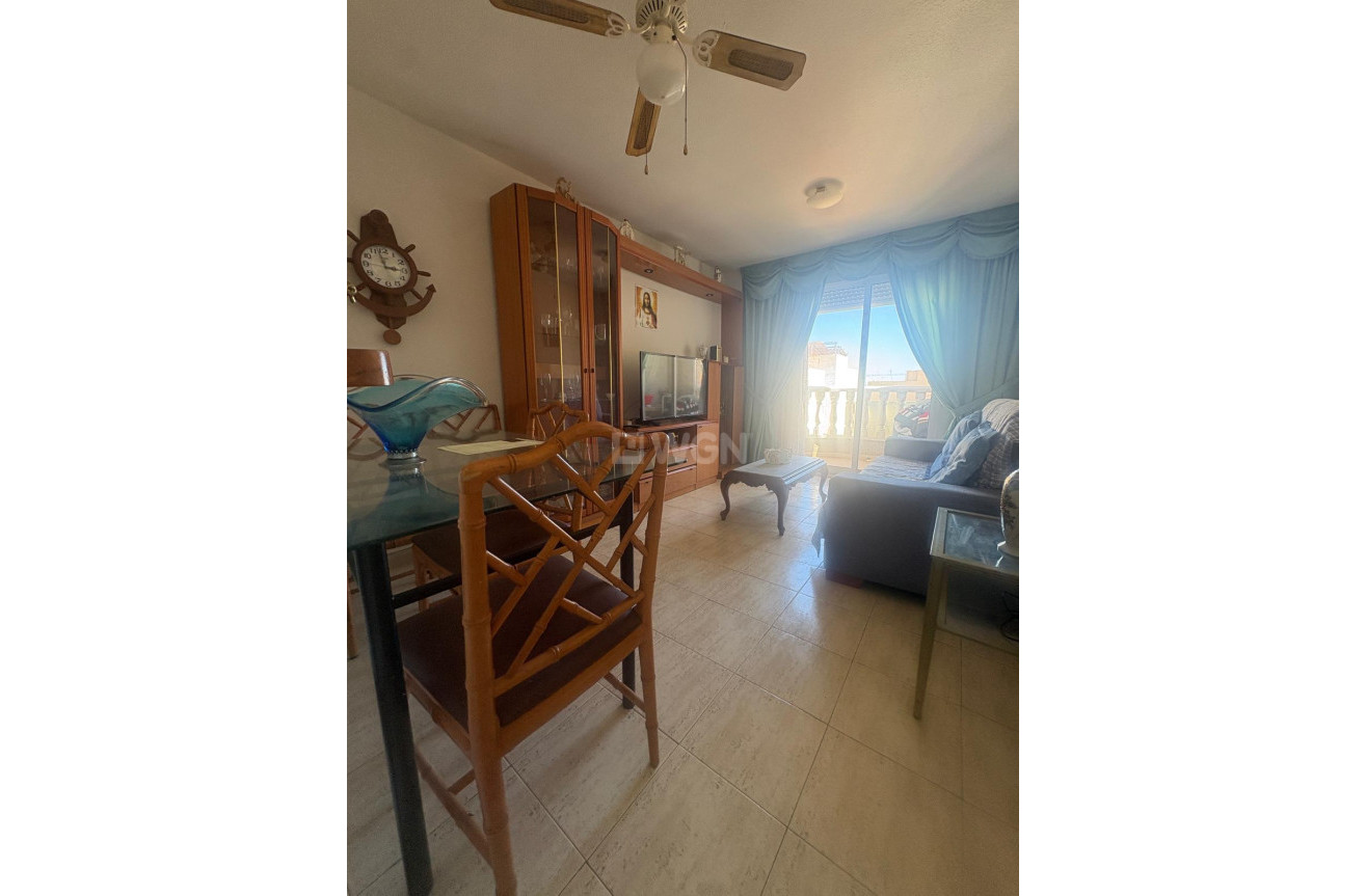 Odsprzedaż - Mieszkanie w bloku - Torrevieja - Costa Blanca