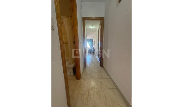 Odsprzedaż - Mieszkanie w bloku - Torrevieja - Costa Blanca