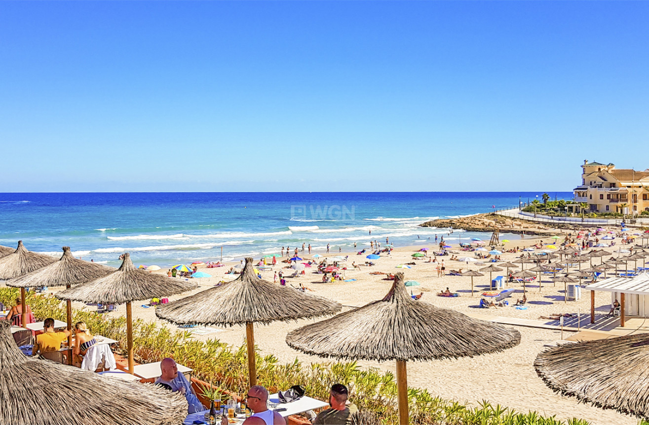 Wiederverkauf - Wohnung - Villamartin - Costa Blanca