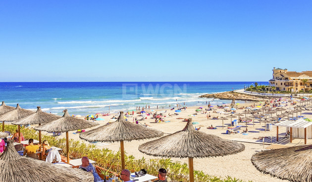 Wiederverkauf - Wohnung - Villamartin - Costa Blanca