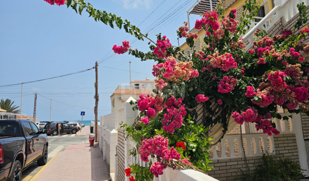 Odsprzedaż - Bungalow - Torrevieja - Los Europeos