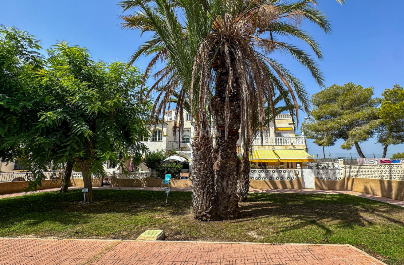 Odsprzedaż - Bungalow - San Miguel de Salinas - Inland