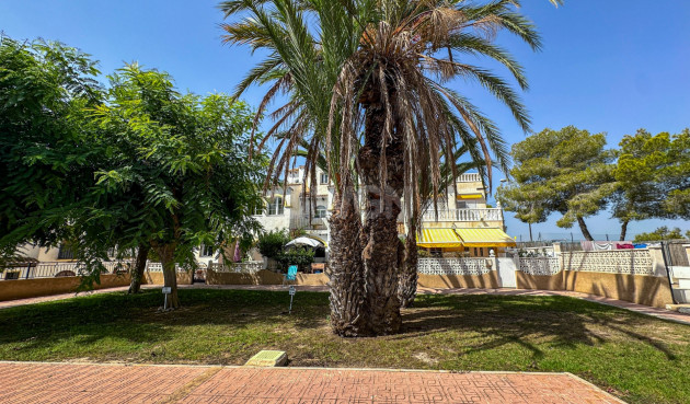 Odsprzedaż - Bungalow - San Miguel de Salinas - Inland