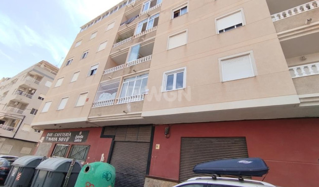 Wiederverkauf - Wohnung - Torrevieja - Habaneras