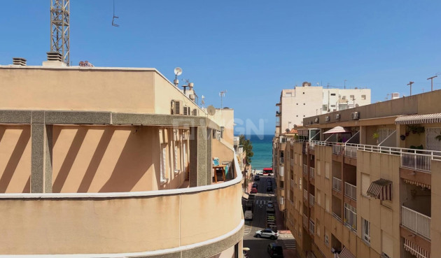 Odsprzedaż - Daszek - Torrevieja - Habaneras