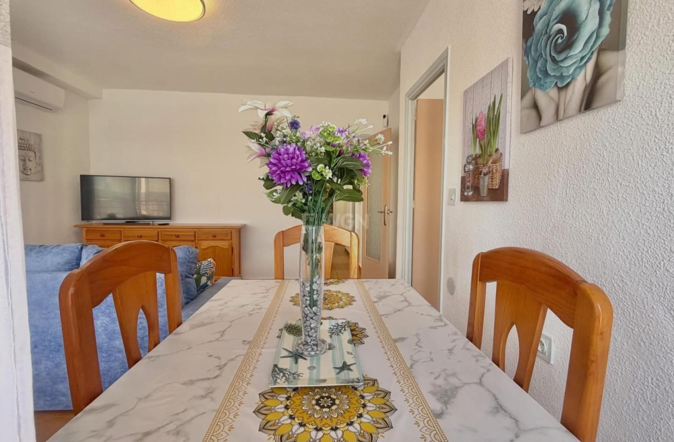 Odsprzedaż - Daszek - Torrevieja - Habaneras