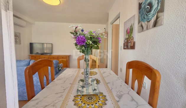 Odsprzedaż - Daszek - Torrevieja - Habaneras
