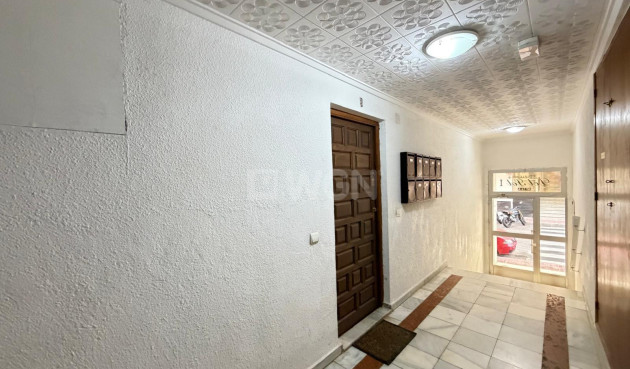 Wiederverkauf - Wohnung - Torrevieja - Playa del Cura