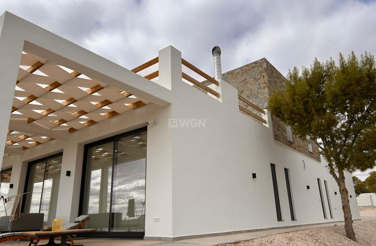 Nowy budynek - Villa - Pinoso - Casas Pastor