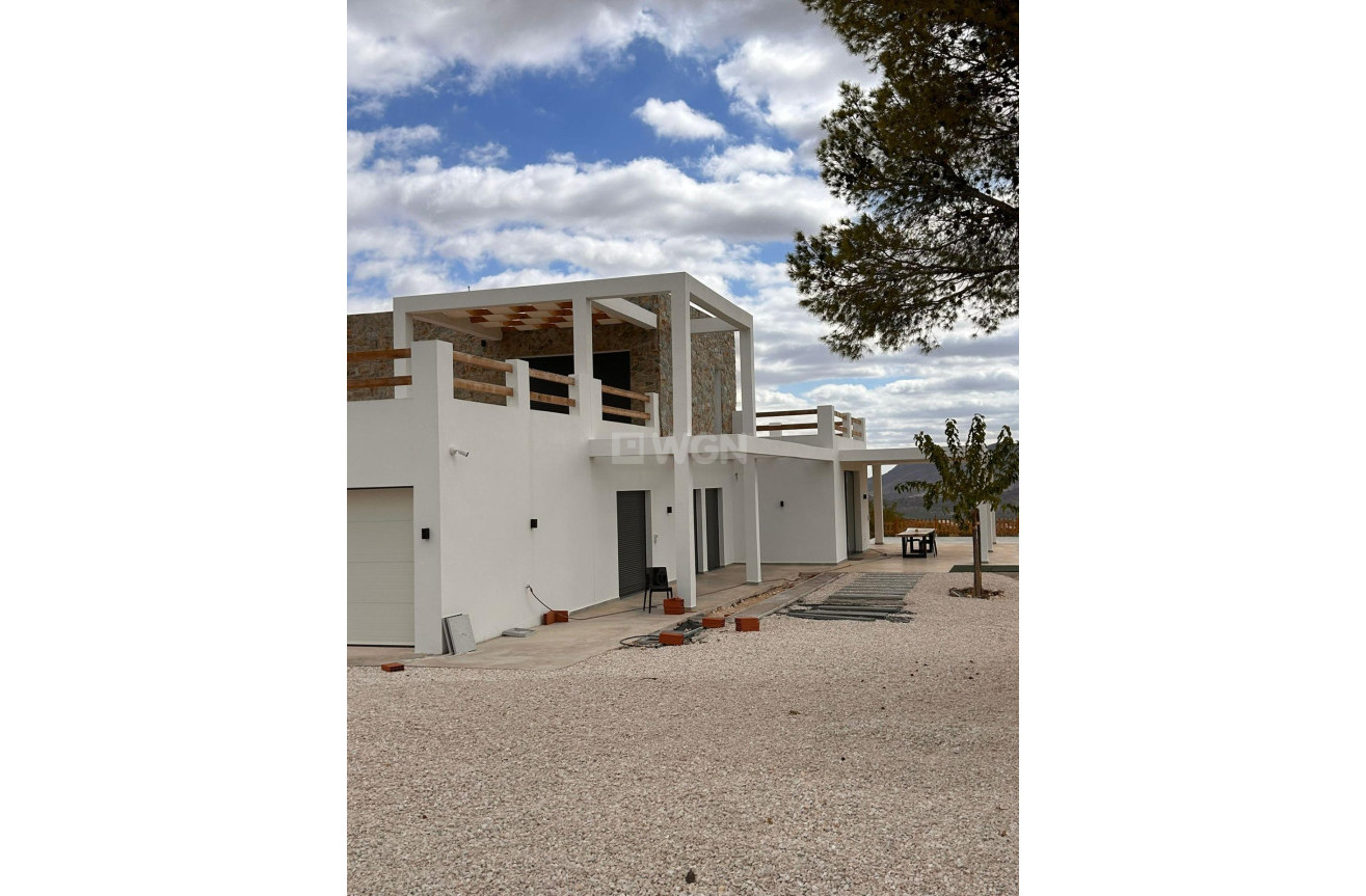 Nowy budynek - Villa - Pinoso - Casas Pastor