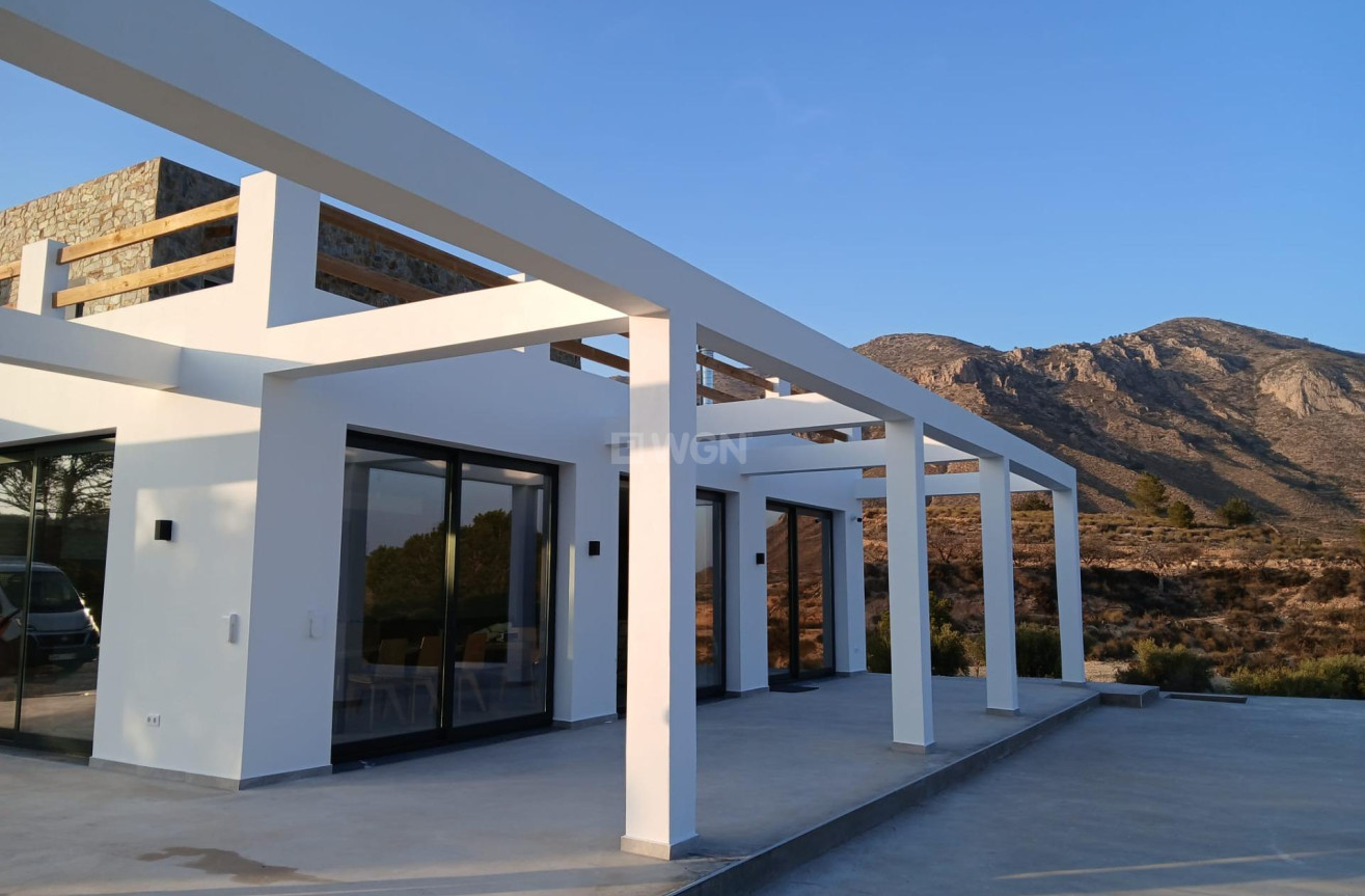 Nowy budynek - Villa - Pinoso - Casas Pastor