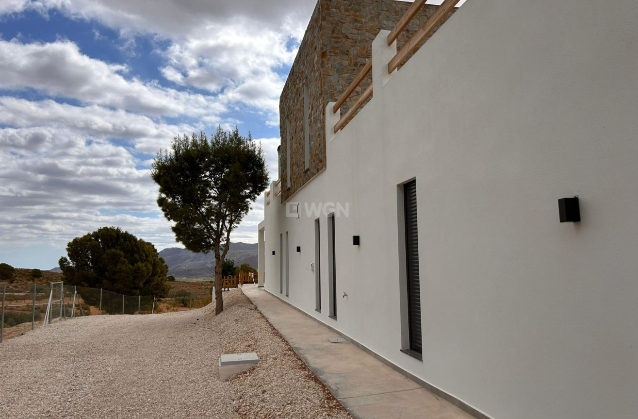Nowy budynek - Villa - Pinoso - Casas Pastor