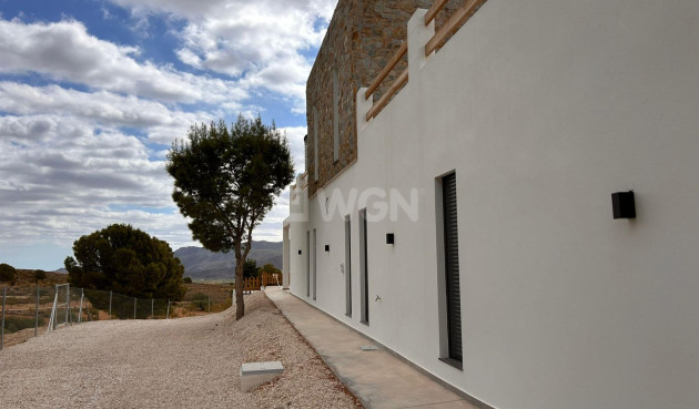 Nowy budynek - Villa - Pinoso - Casas Pastor