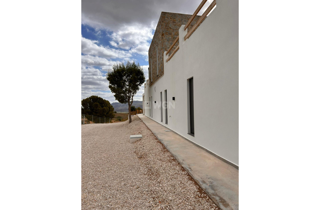 Nowy budynek - Villa - Pinoso - Casas Pastor