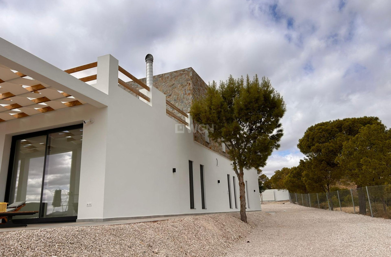 Nowy budynek - Villa - Pinoso - Casas Pastor
