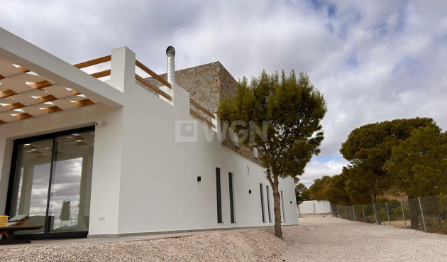 Nowy budynek - Villa - Pinoso - Casas Pastor