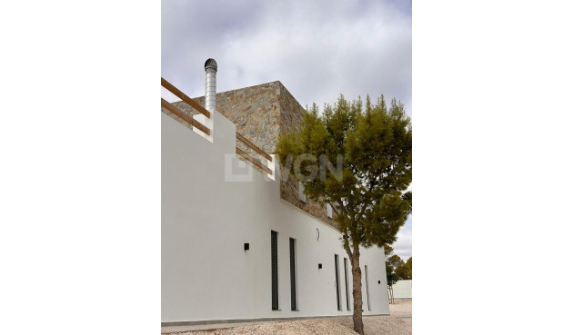 Nowy budynek - Villa - Pinoso - Casas Pastor